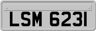 LSM6231