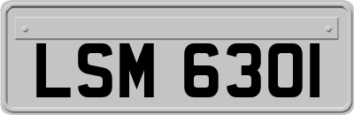 LSM6301