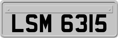 LSM6315