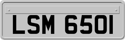 LSM6501