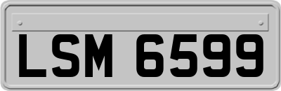 LSM6599