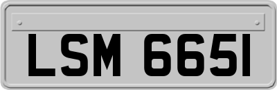 LSM6651