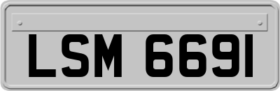 LSM6691