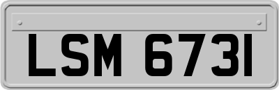 LSM6731
