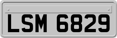 LSM6829