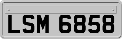 LSM6858