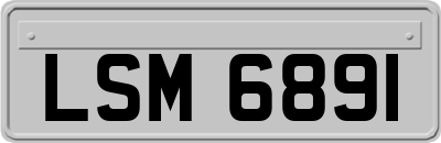 LSM6891