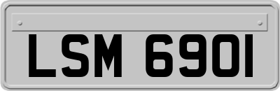 LSM6901