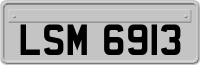 LSM6913