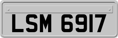 LSM6917