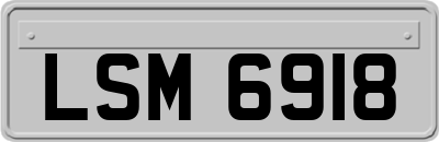 LSM6918