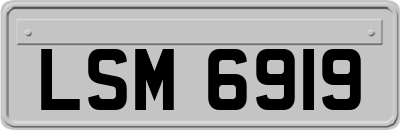 LSM6919