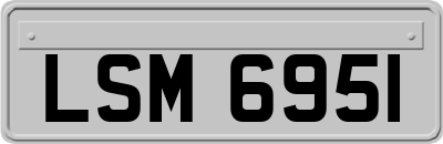 LSM6951