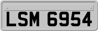 LSM6954