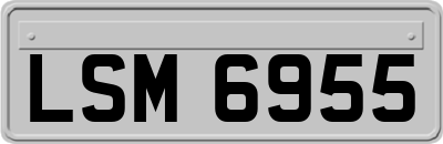 LSM6955