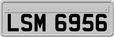 LSM6956