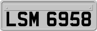 LSM6958
