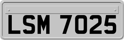 LSM7025