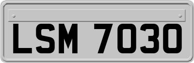 LSM7030