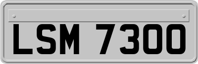 LSM7300