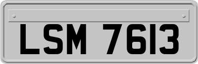 LSM7613