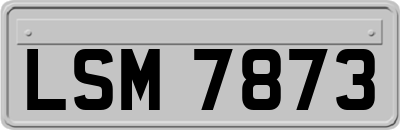 LSM7873