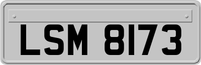 LSM8173