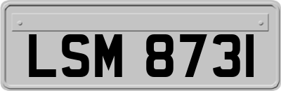 LSM8731
