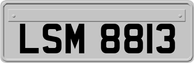 LSM8813