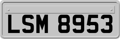LSM8953