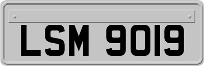 LSM9019