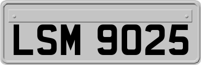 LSM9025