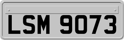 LSM9073