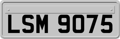 LSM9075
