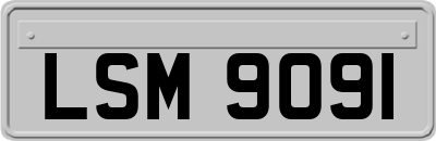 LSM9091