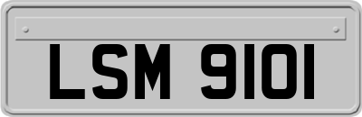 LSM9101