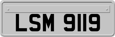 LSM9119