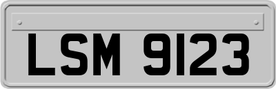 LSM9123