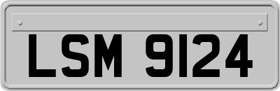LSM9124
