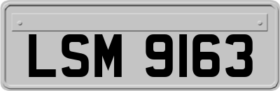 LSM9163