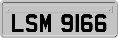LSM9166