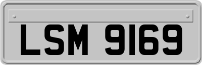 LSM9169