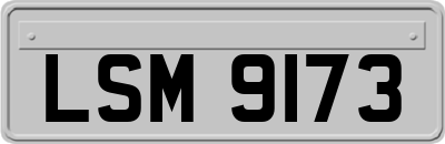 LSM9173
