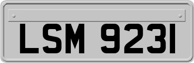 LSM9231
