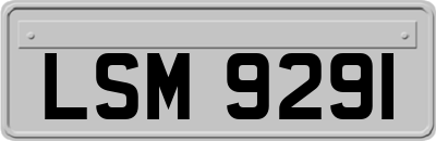 LSM9291
