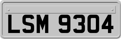 LSM9304