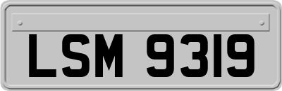 LSM9319