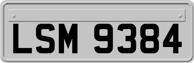 LSM9384