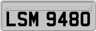 LSM9480