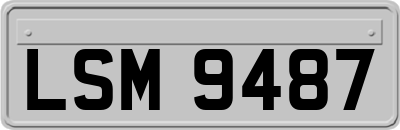 LSM9487